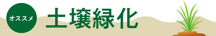 丸八_土壌緑化